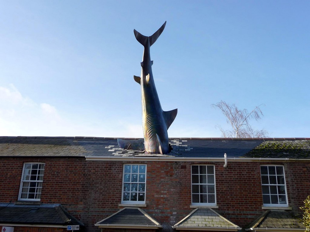 Shark protruding from roof house