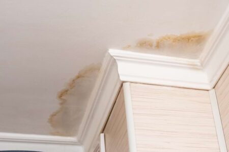 wet rot