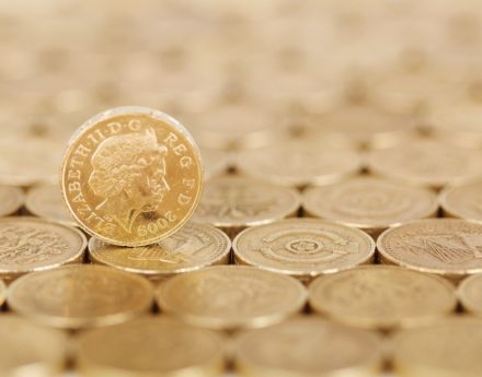 One pound coins