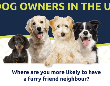 furry friends