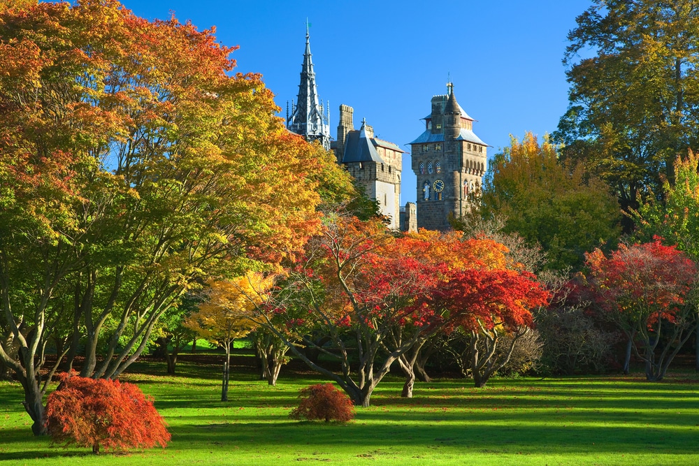 Image of Bute Park in the autumn with with skies