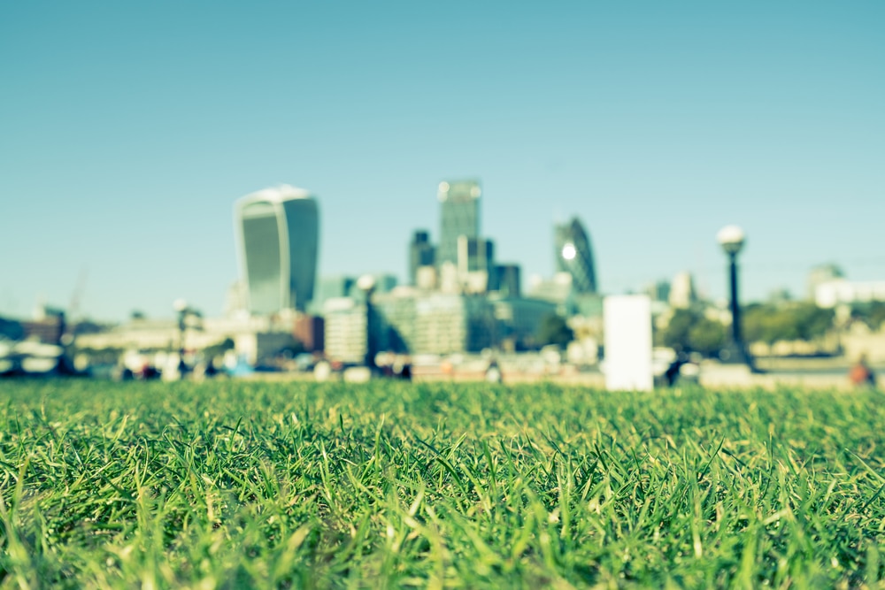 Which London Borough Has the Most Green Spaces?