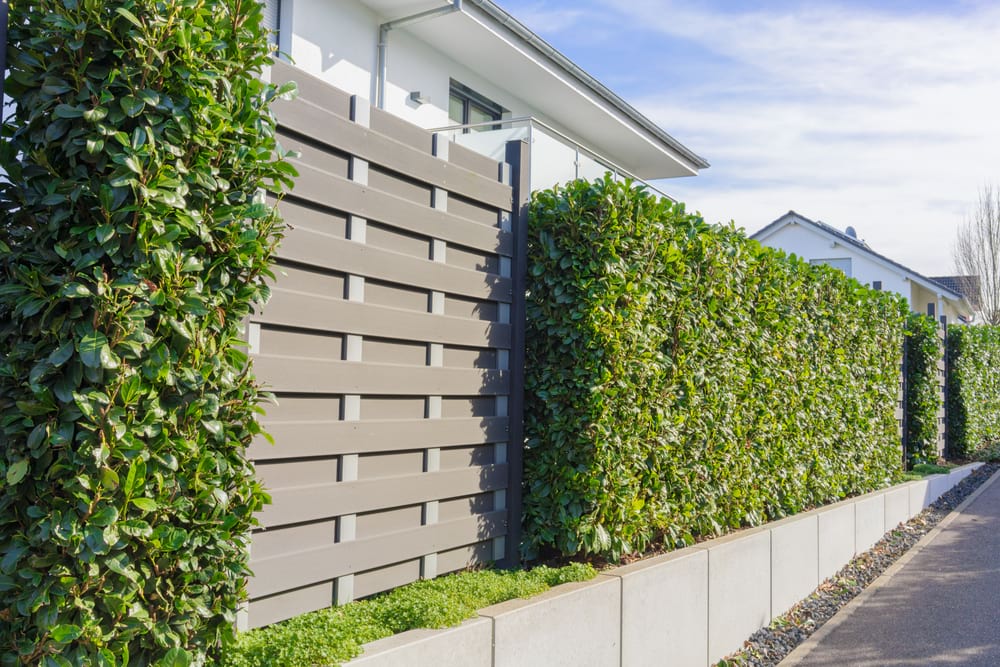 How to Make Your House More Private