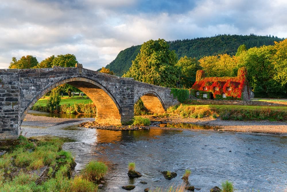 Llanrwst bridge in north Wales on sunny Autumn day with house covered in red leaves in backgrounds