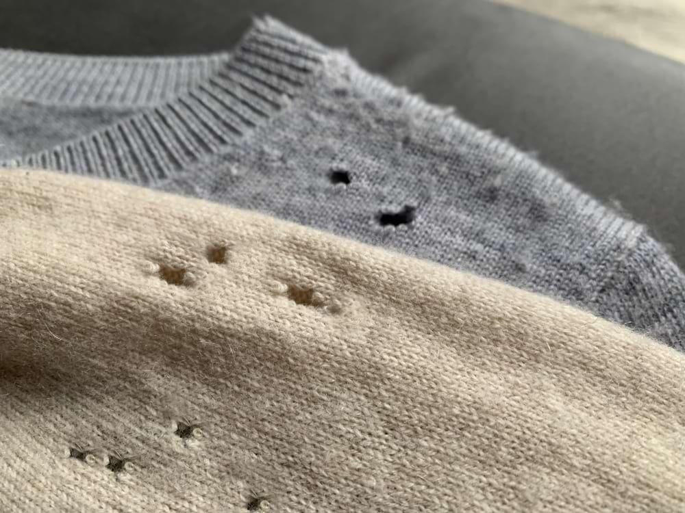 two jumpers with moth holes in them
