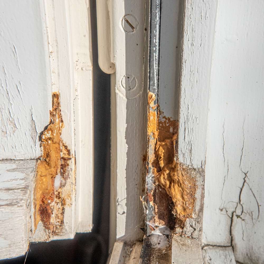 Dry rot on corner of window frame