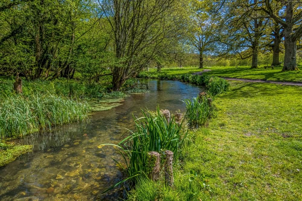 picture of stream by pathway in sunny weather